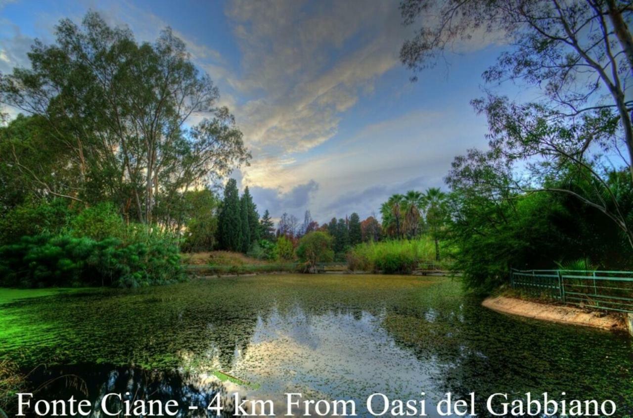 시라쿠사 Oasi Del Gabbiano B&B 외부 사진